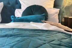 Gruenes-Zimmer-Mikro-Apartment-Schwarzer-Bock-Ansbach6