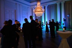 Rhenanentag-2012_232