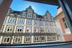 ReiherNestIMG_1038_web_