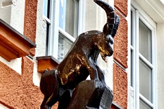 Schwarzer-Bock-image00012