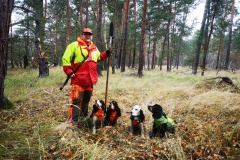 WJSC-Jagd-2019-Fuhrmann-Cocker-web_